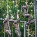 Virginia Tempest: British Royal Marines conduct o-course
