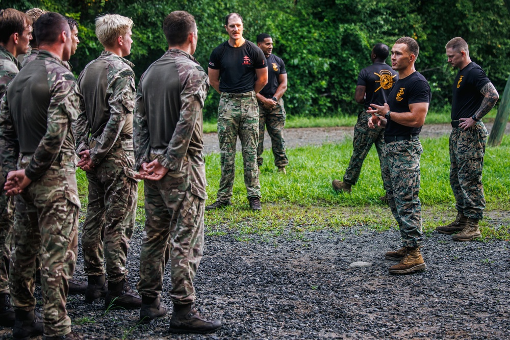 Virginia Tempest: British Royal Marines conduct o-course
