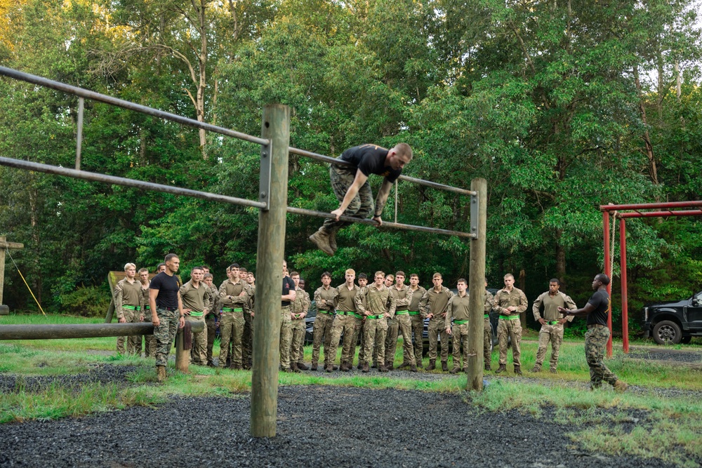 Virginia Tempest: British Royal Marines conduct o-course