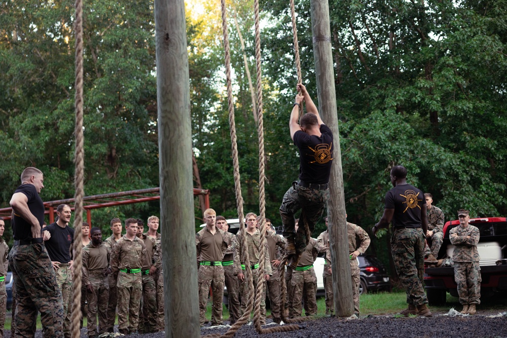 Virginia Tempest: British Royal Marines conduct o-course