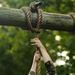Virginia Tempest: British Royal Marines conduct o-course