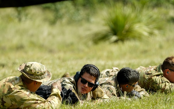 Joint service members participate in 'Operation Dustoff Vigilance'