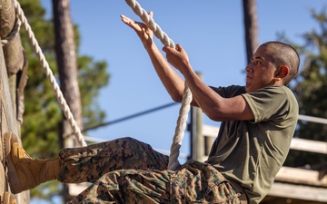 November Company Confidence Course
