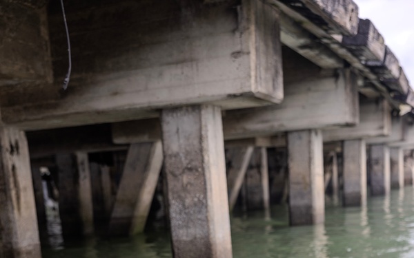 PANAMAX 25 - U.S. Navy EOD