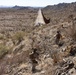 Task Force Forge Marines utilize Small Unmanned Aircraft Systems