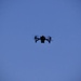 Project Shrike