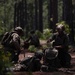 &quot;Gun Devils&quot; - 3-319th Field Artillery Regiment | 82nd Abn Div
