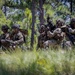 Devil Avalanche: Live Fire Exercise