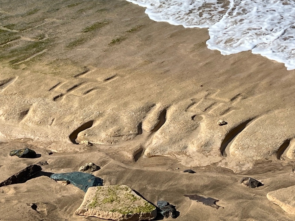 Ancient Hawaiian Petroglyphs revealed at Pililaau Army Recreation Center