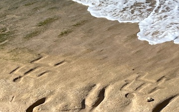 Ancient Hawaiian Petroglyphs revealed at Pililaau Army Recreation Center