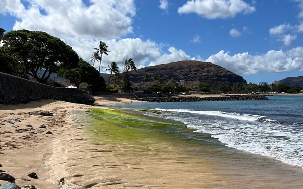 Ancient Hawaiian Petroglyphs revealed at Pililaau Army Recreation Center