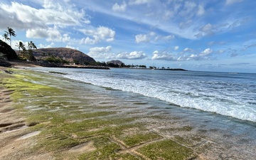 Ancient Hawaiian Petroglyphs revealed at Pililaau Army Recreation Center