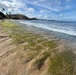 Ancient Hawaiian Petroglyphs revealed at Pililaau Army Recreation Center