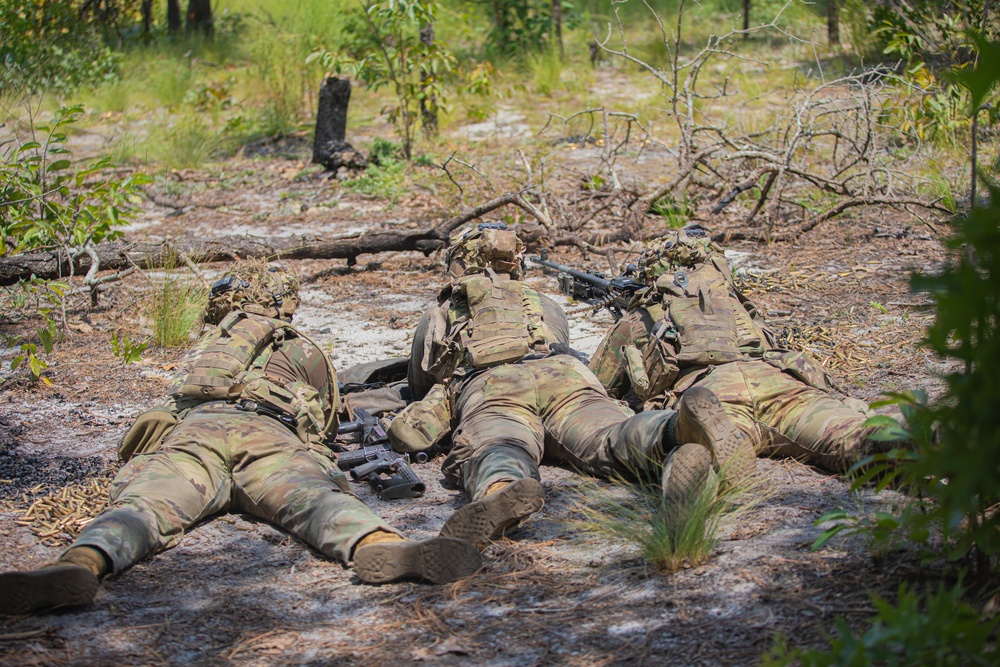 1 BCT DEVIL AVALANCHE