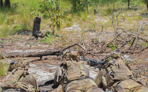 1 BCT DEVIL AVALANCHE