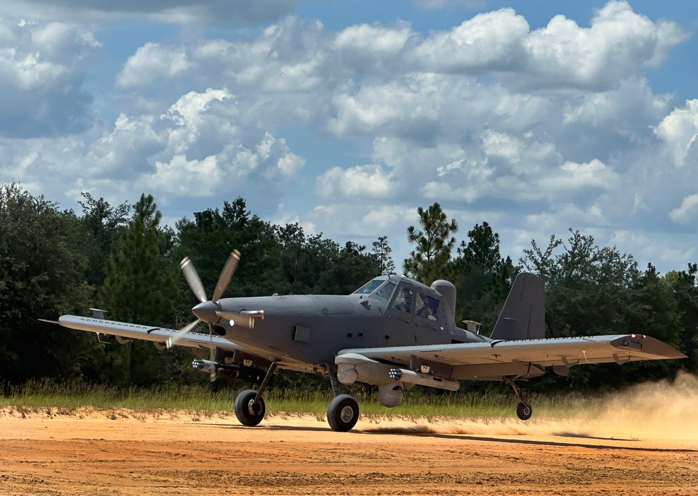 Skyraider