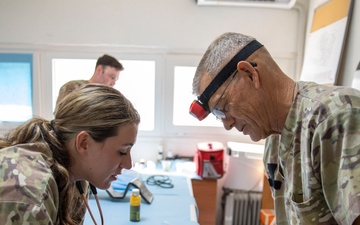 Kosovo Forces (KFOR) Regional Command-East’s Veterinary Team visits Camp Film City Kosovo to offer spay and neuter clinic