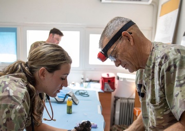 Helping Hands and Healing Paws in Kosovo