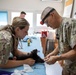 Kosovo Forces (KFOR) Regional Command-East’s Veterinary Team visits Camp Film City Kosovo to offer spay and neuter clinic