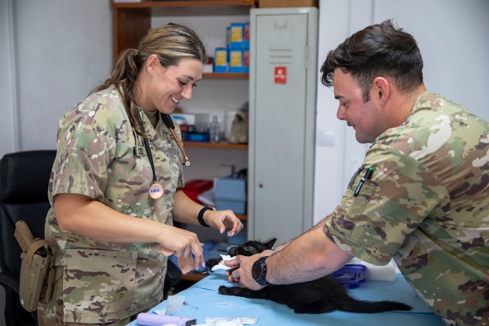 Kosovo Forces Regional Command-East’s Veterinary Team visits Camp Film City Kosovo to offer spay and neuter clinic