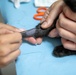 Kosovo Forces Regional Command-East’s Veterinary Team visits Camp Film City Kosovo to offer spay and neuter clinic