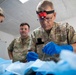 Kosovo Forces Regional Command-East’s Veterinary Team visits Camp Film City Kosovo to offer spay and neuter clinic