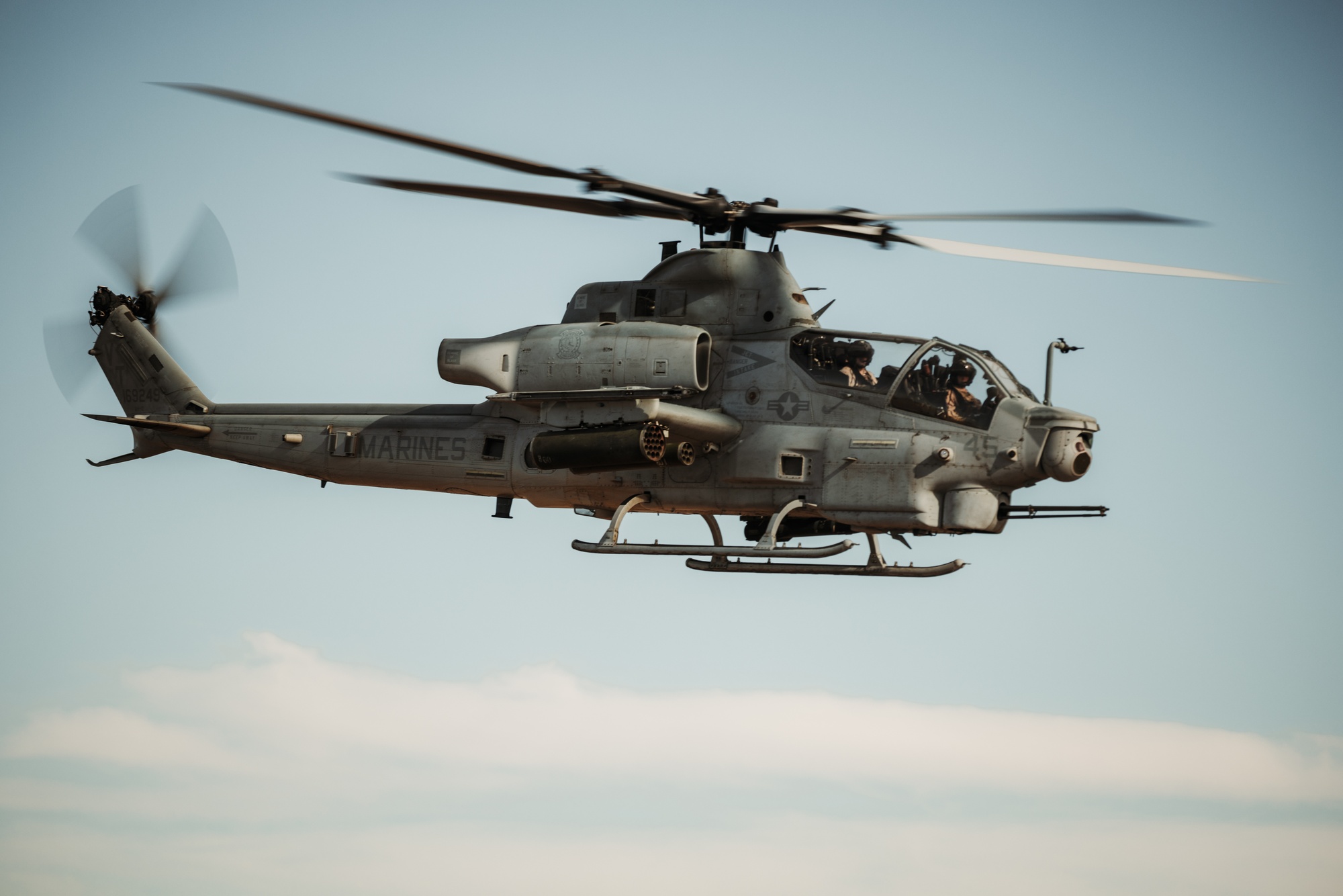 アガベ OPEN 3671 Chainmaker Path, Baldwinsville, NY 13027 | Zillow