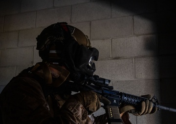 Tartan Eagle 24:  Building clearing