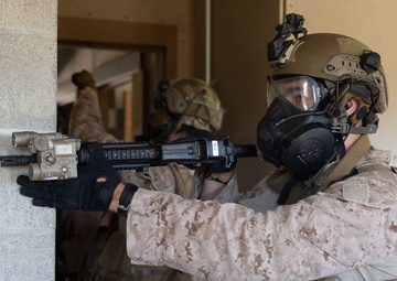 Tartan Eagle 24: Building clearing