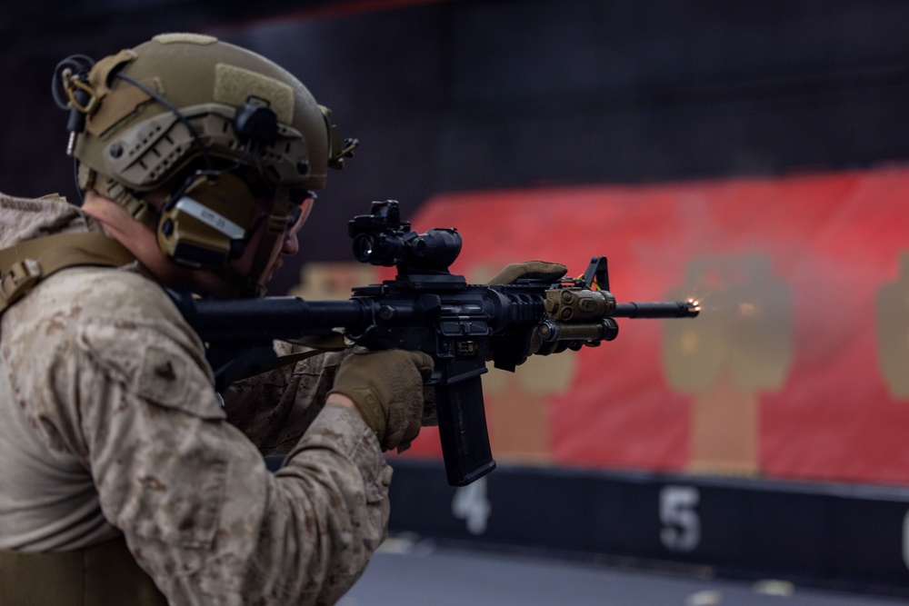 Exercise Tartan Eagle 24: Marksmanship