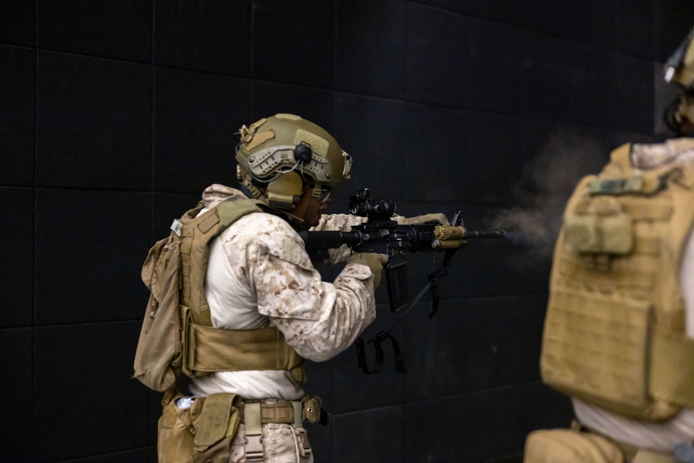 Exercise Tartan Eagle 24: Marksmanship