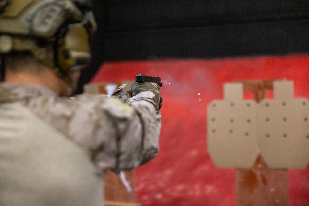 Exercise Tartan Eagle 24: Marksmanship