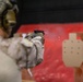 Exercise Tartan Eagle 24: Marksmanship