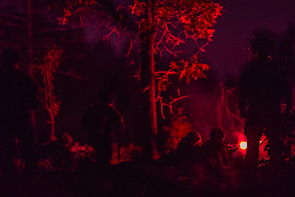 DEVIL AVALANCHE