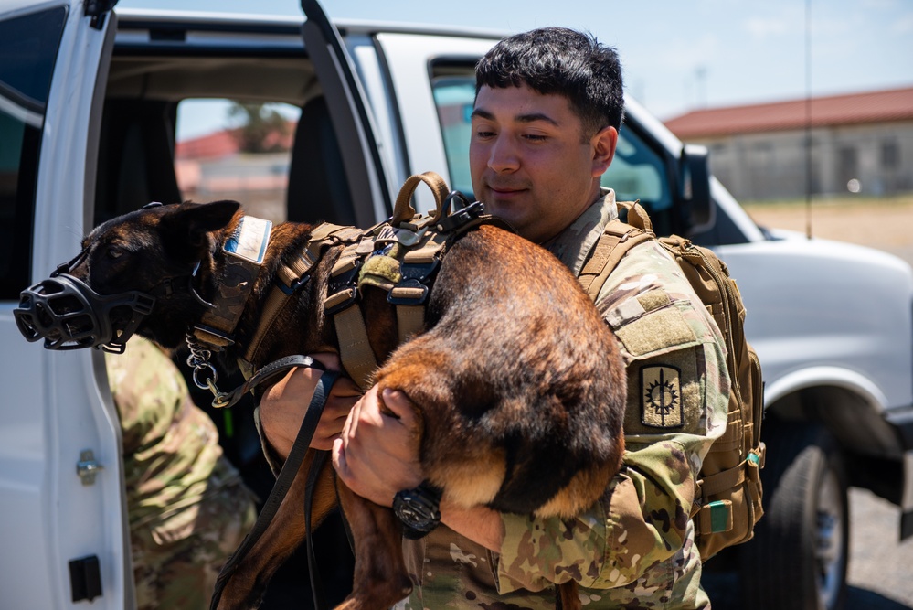 UC25 MWD examination