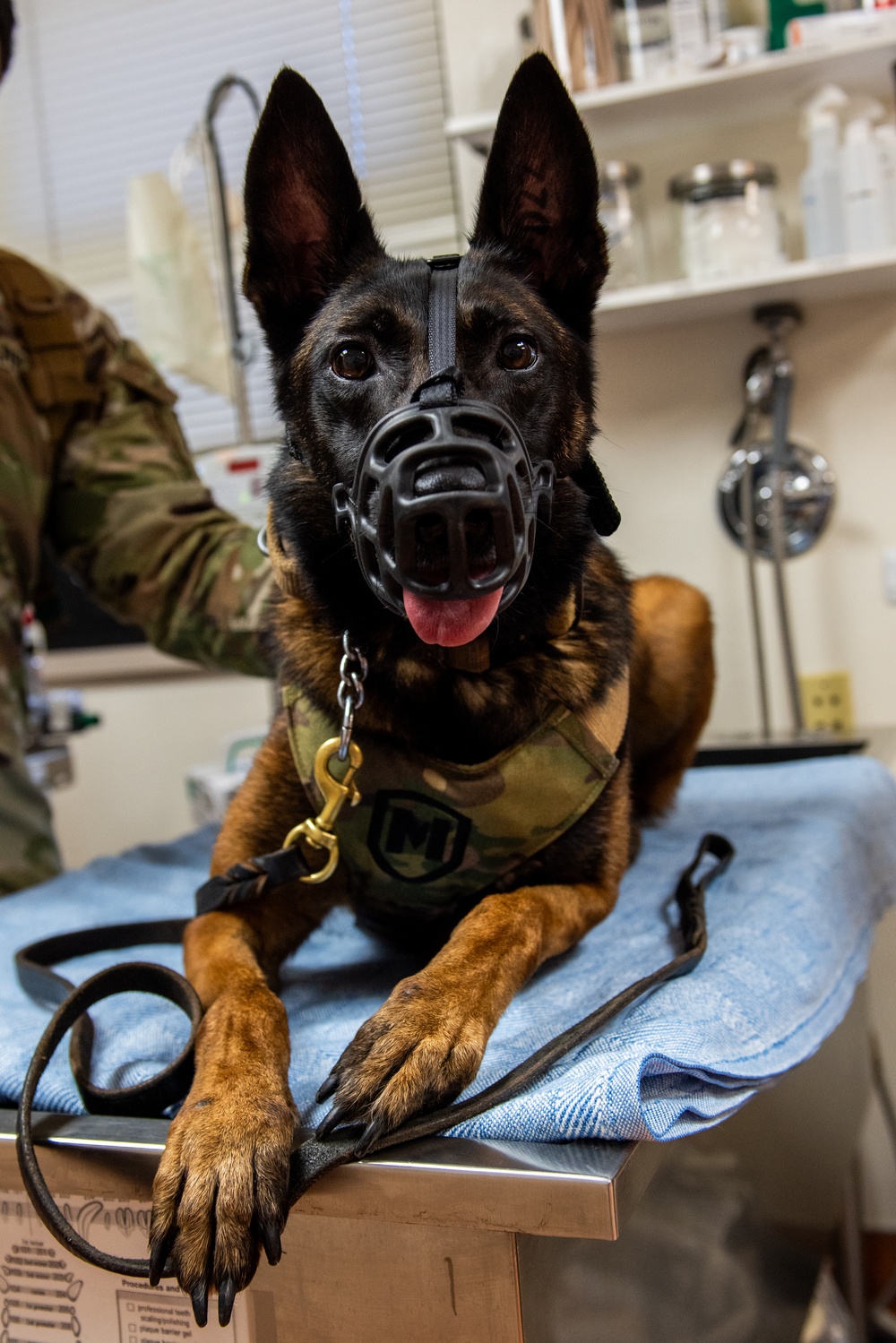 UC25 MWD examination