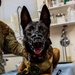 UC25 MWD examination