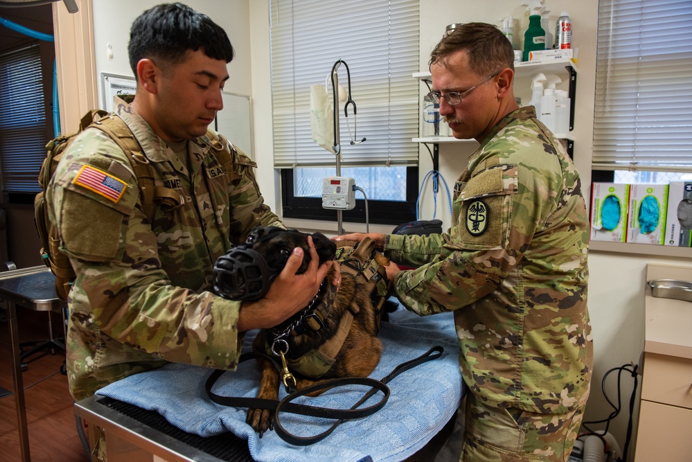 UC25 MWD examination