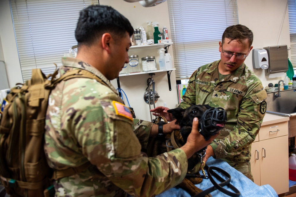 UC25 MWD examination