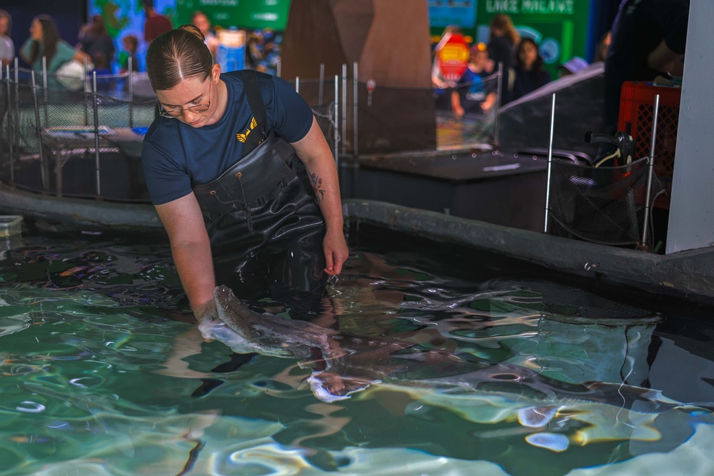Sailors Join Sturgeon Feeding at Great Lakes Aquarium During Navy Week