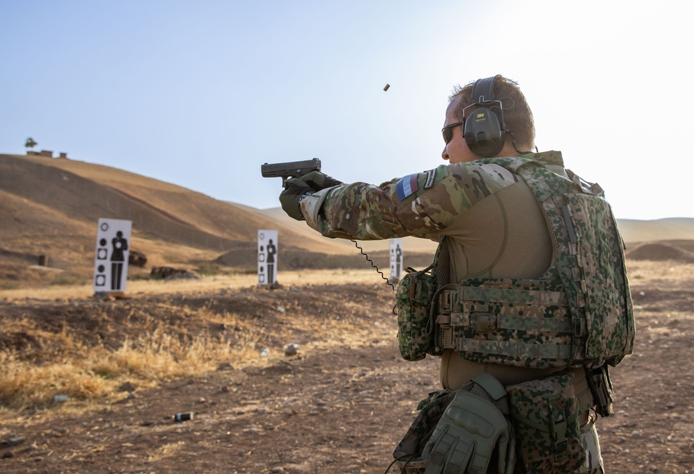 Coalition Members Conduct Weapons Training at Beneslawa Range