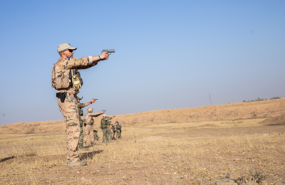 Coalition Members Conduct Weapons Training at Beneslawa Range