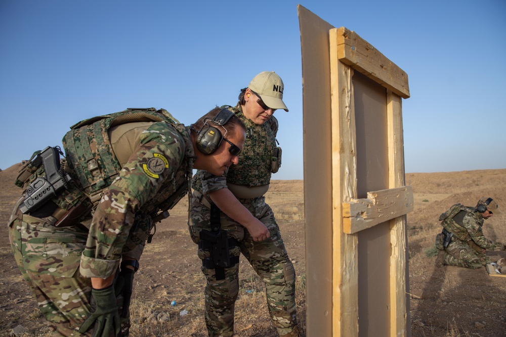 Coalition Members Conduct Weapons Training at Beneslawa Range