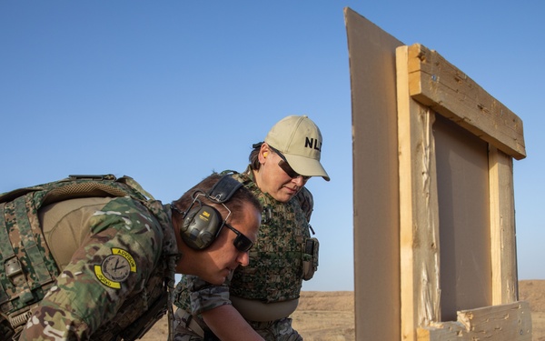 Coalition Members Conduct Weapons Training at Beneslawa Range