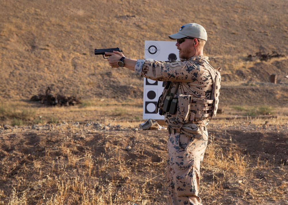 Coalition Members Conduct Weapons Training at Beneslawa Range