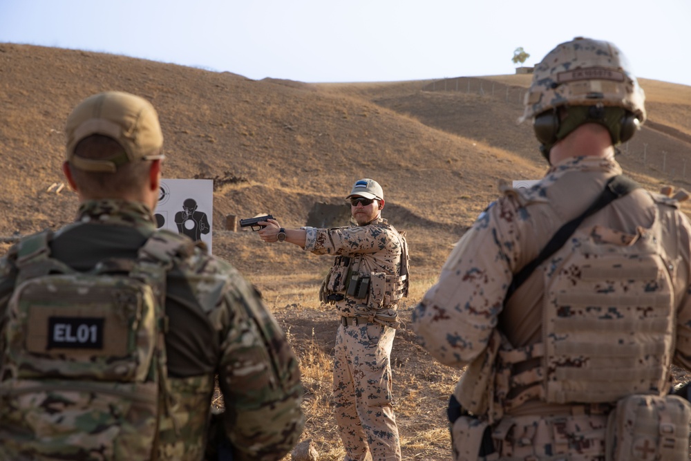 Coalition Members Conduct Weapons Training at Beneslawa Range