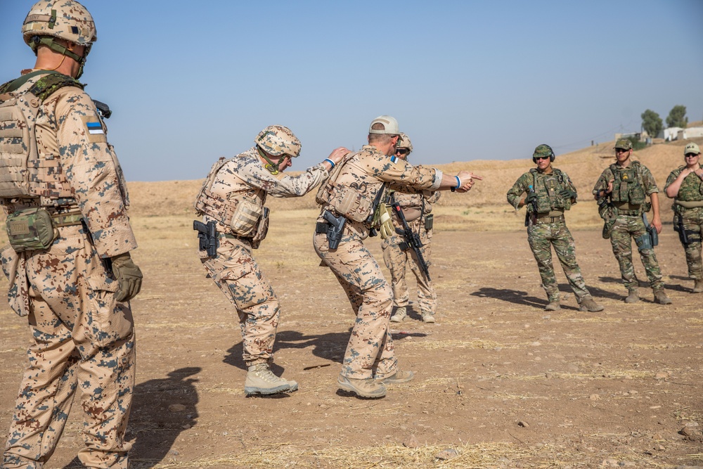 Coalition Members Conduct Weapons Training at Beneslawa Range
