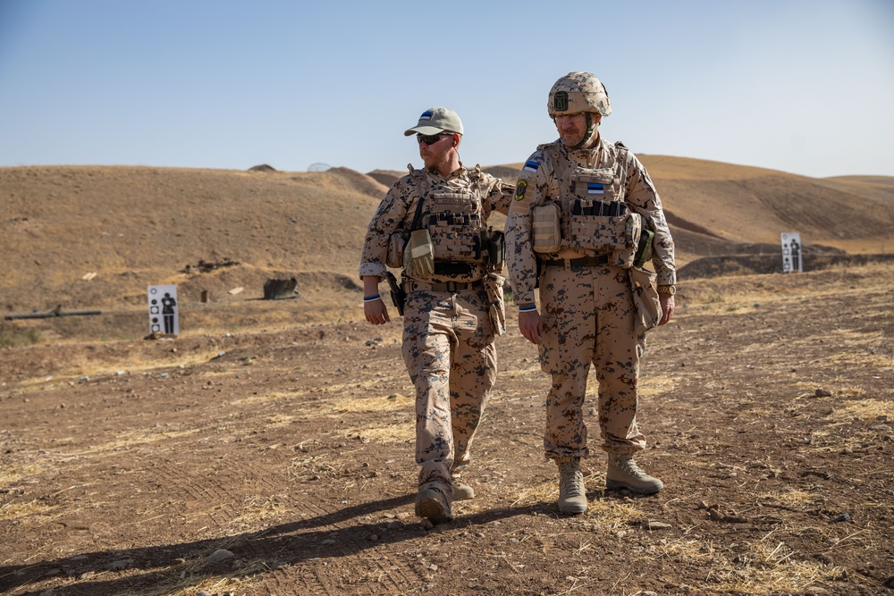 Coalition Members Conduct Weapons Training at Beneslawa Range