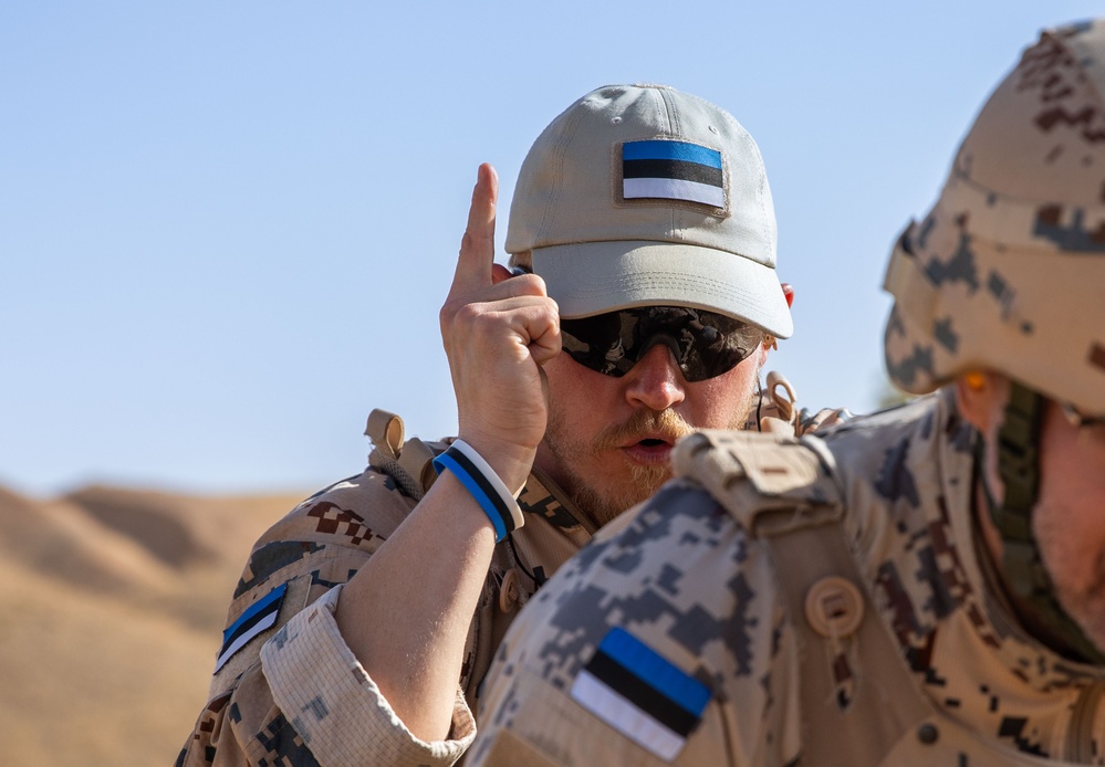 Coalition Members Conduct Weapons Training at Beneslawa Range
