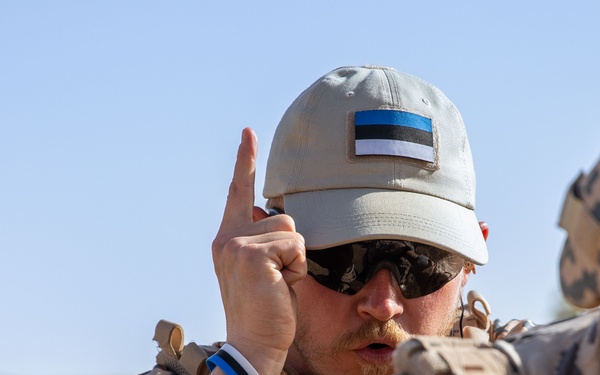 Coalition Members Conduct Weapons Training at Beneslawa Range